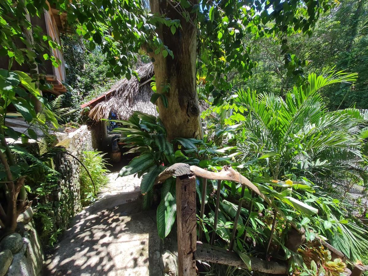 Eco Hostal La Perla Tayrona เอลไซโน ภายนอก รูปภาพ