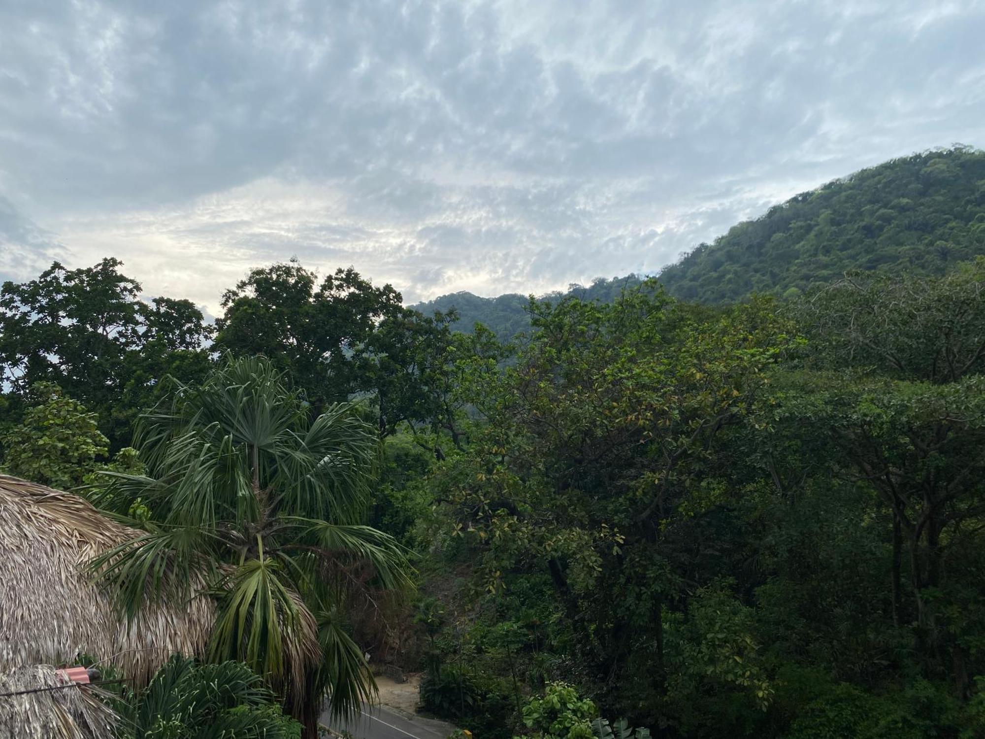 Eco Hostal La Perla Tayrona เอลไซโน ภายนอก รูปภาพ