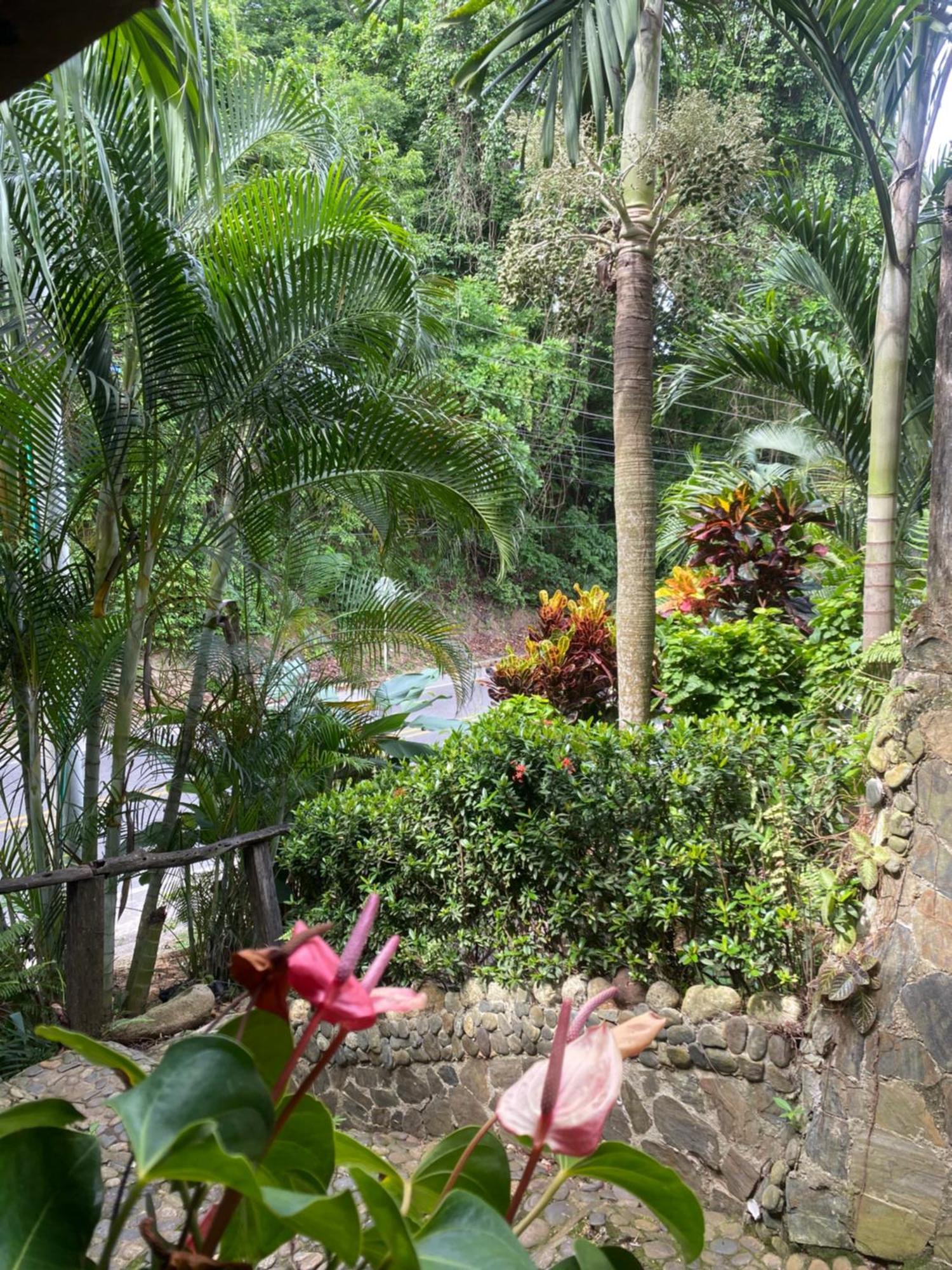 Eco Hostal La Perla Tayrona เอลไซโน ภายนอก รูปภาพ